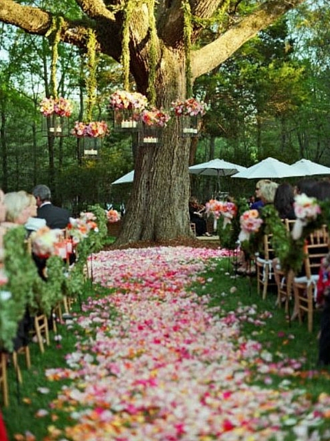 outdoor wedding