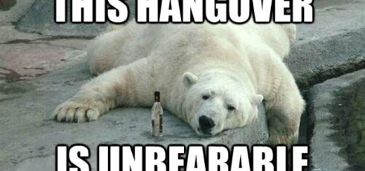 hangover_New_Love_Times