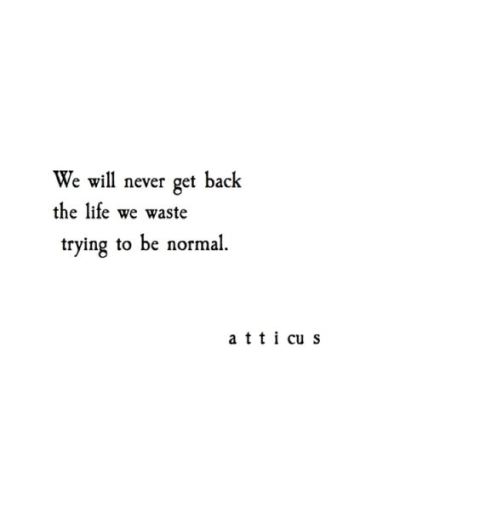 atticus poetry_New_Love_Times