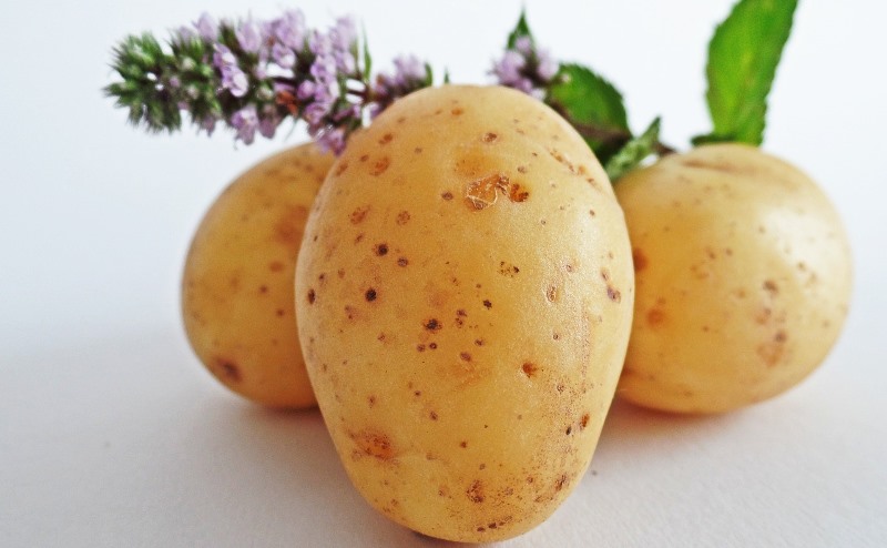 potatoes_New_Love_Times