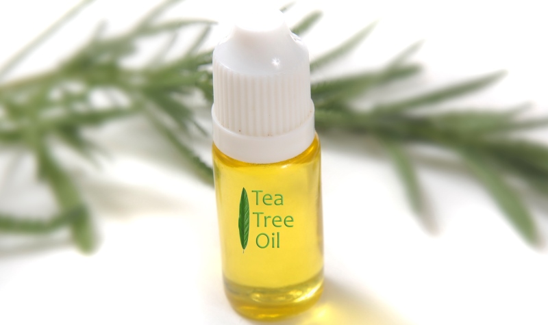 tea tree oil2