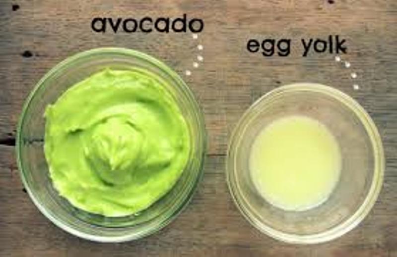 avocado hair masks_New_Love_Times