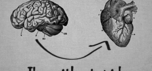 heart vs brain_New_Love_Times