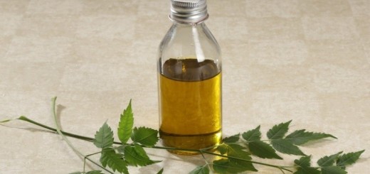 benefits of neem oil_New_Love_Times