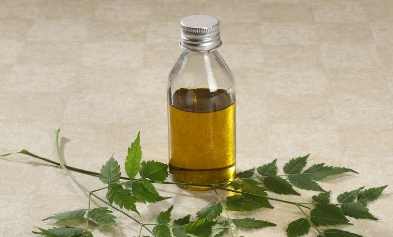 benefits of neem oil_New_Love_Times