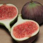 All You Need To Know About The Numerous Health Benefits Of Figs