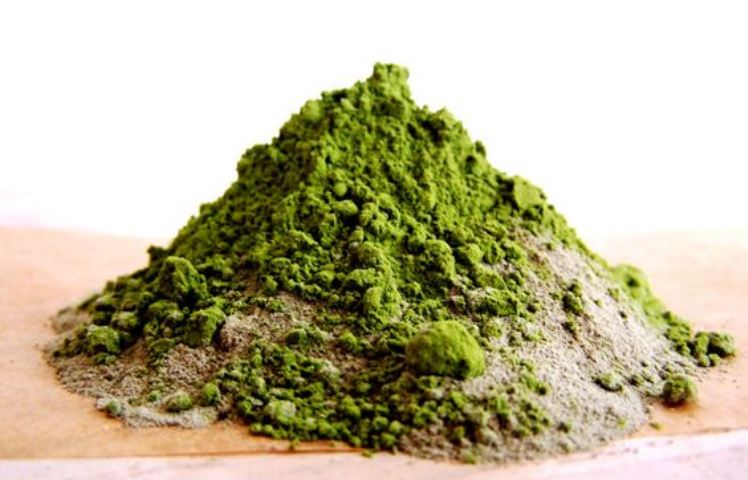 benefits-of-seaweed3_New_Love_Times