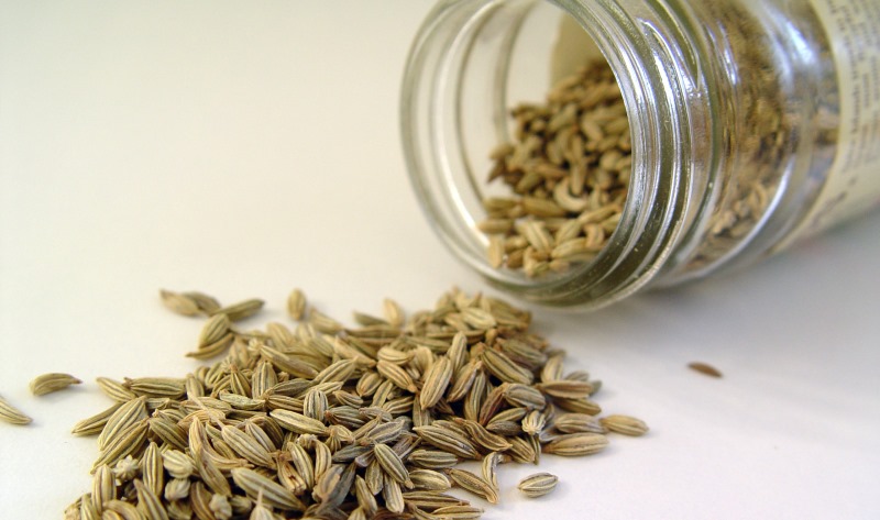 fennel seeds_New_Love_Times