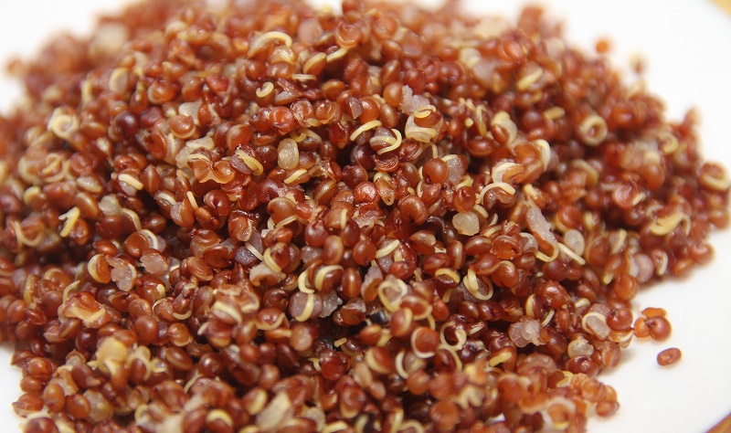 benefits of quinoa_New_Love_Times