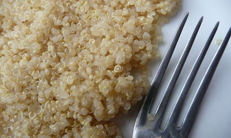 benefits of quinoa_New_Love_Times