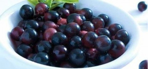 health benefits of acai berry_New_Love_Times