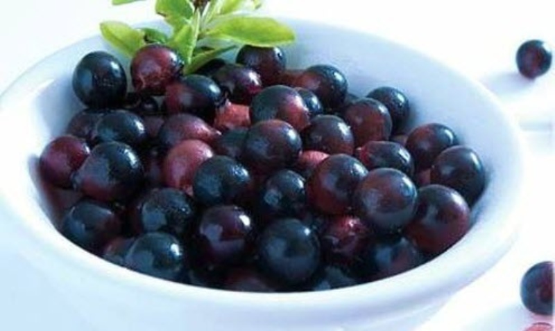 health benefits of acai berry_New_Love_Times