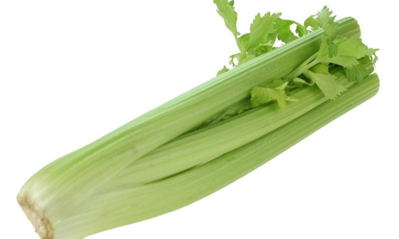 health benefits of celery_New_Love_Times