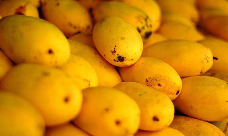 mangoes