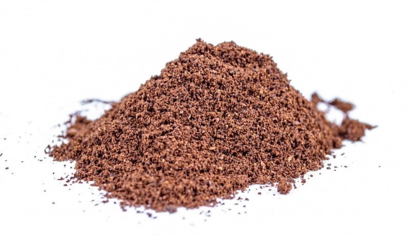 cocoa powder_New_Love_Times