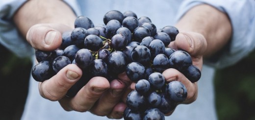 grape face mask recipes_New_Love_Times