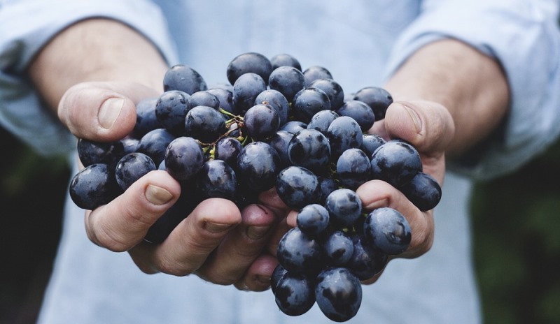 grape face mask recipes_New_Love_Times