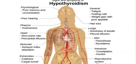 home remedies for hypothyroidism_New_Love_Times