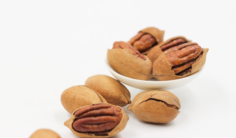 health benefits of pecan nuts_New_Love_Times