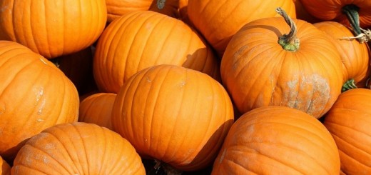 pumpkin face mask recipes_New_LovE_Times