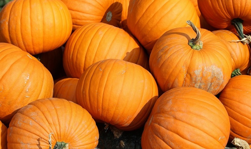 pumpkin face mask recipes_New_LovE_Times