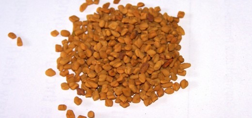 fenugreek hair mask recipes_New_Love_Times