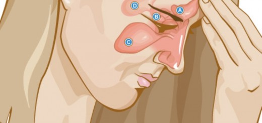 sinuses