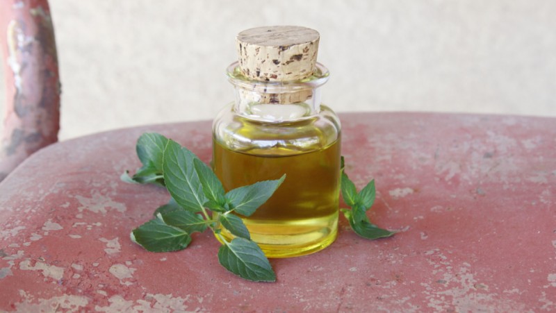 peppermint oil_new_love_times