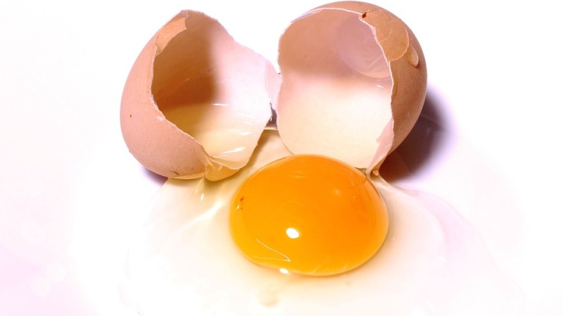 egg yolk_new_love_times