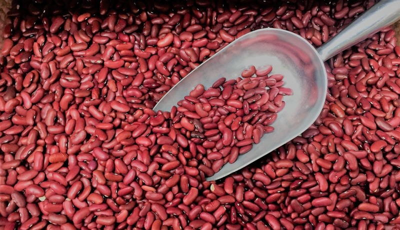 kidney beans_new_love_times