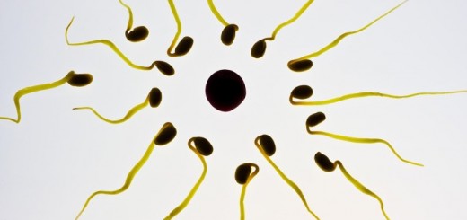 home remedies to increase sperm count_new_love_times