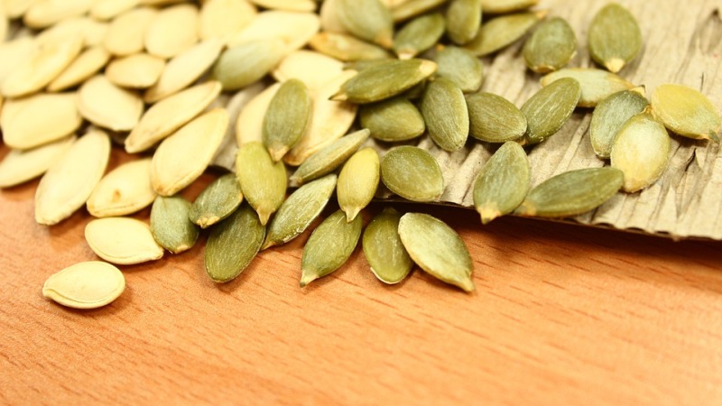 pumpkin seeds_new_love_times