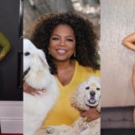 13 Plus Sized Celebrities Who Are Showing Everyone How To Love Themselves