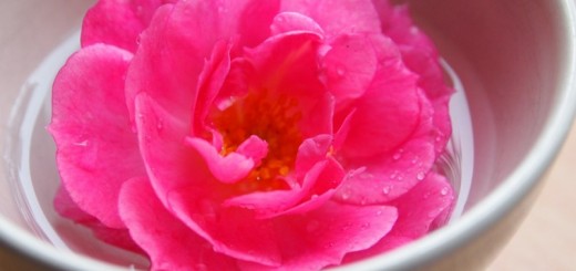benefits of rosewater_new_love_times