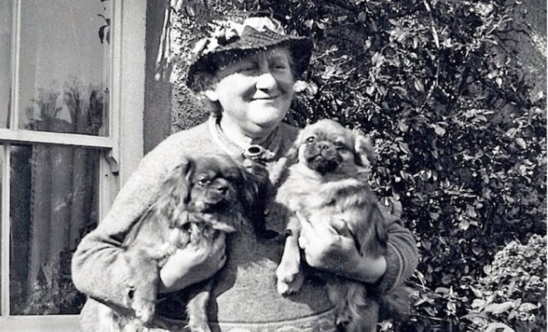 beatrix potter 4