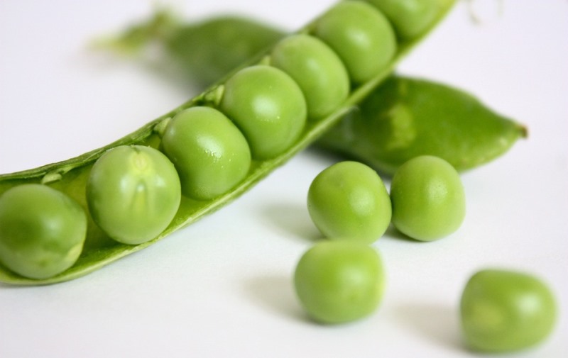 green peas_New_Love_Times
