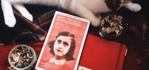 anne frank diary of a young girl_New_Love_Times