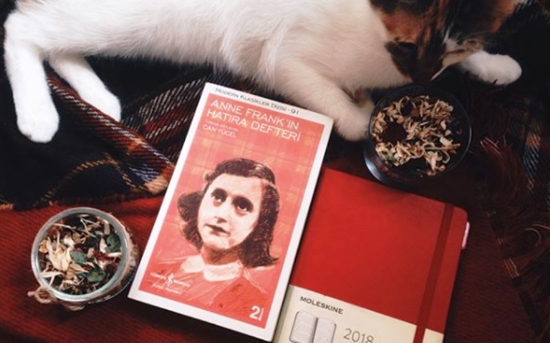 anne frank diary of a young girl_New_Love_Times